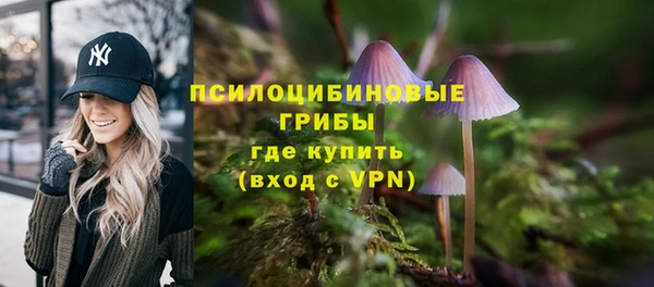 прущие крисы Баксан