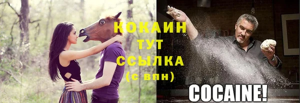 прущие крисы Баксан