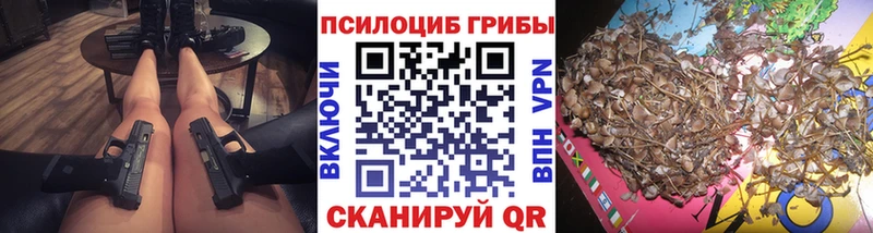Галлюциногенные грибы Psilocybine cubensis Коммунар